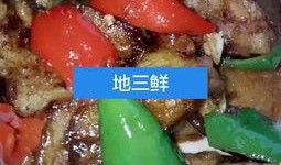 小厨娘美食爆料视频大全,尽享美味佳肴，解锁烹饪秘籍